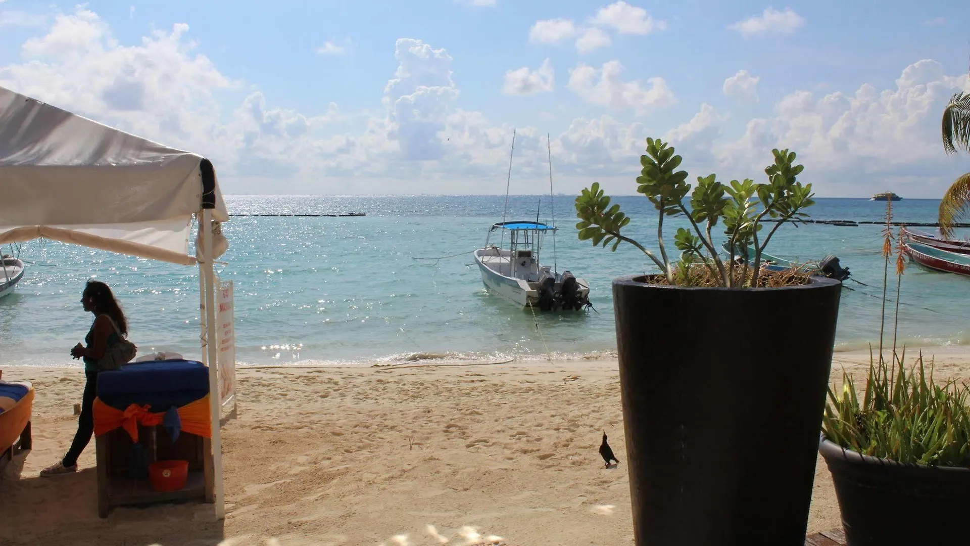 Lejlighedshotel Koox La Mar Condhotel Playa del Carmen
